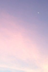 磨砺团队技艺，球队展露强队实力争取胜利