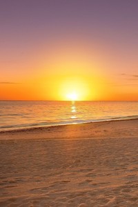 莱比锡红牛即将挑战汉堡队的强劲主场表现