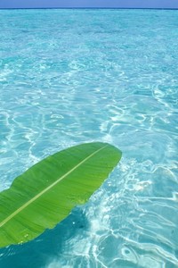 江苏苏宁队员兢兢业业训练，渴望成功