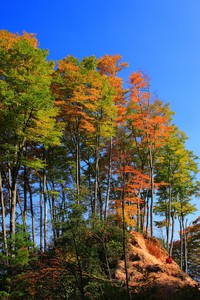 德国VS英格兰：百年对决传统大战再掀激情