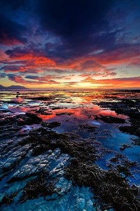 体育场上惊险刺激，选手全力以赴