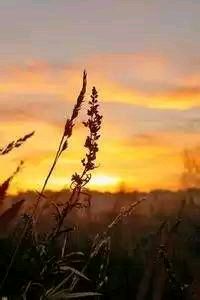 韦斯卡客场辛苦，不敌对手