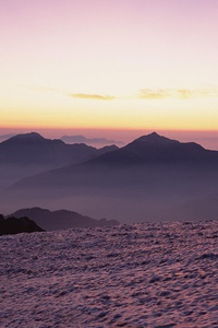 篮网取得激动人心的胜利，压倒魔术